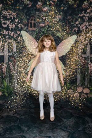 Enchanted Forest