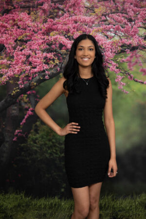 Spring Tree