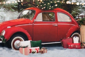 Love Bug Holiday Love Bug Holiday Background