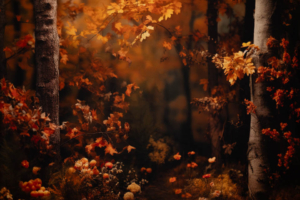 Fall Hideaway Fall Hideaway