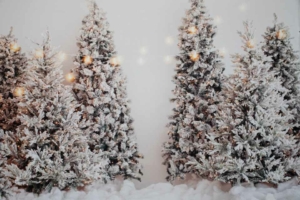 White Christmas White Christmas Background