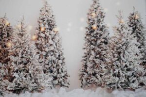 White Christmas White Christmas Background