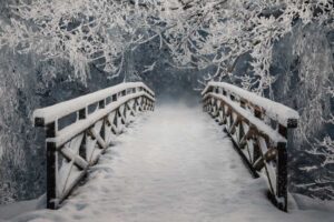Winter Path Winter Path Background