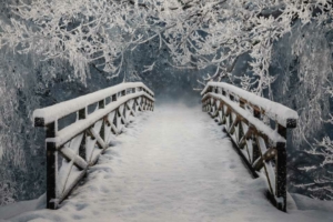 Winter Path Background