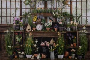 Flower Shack Flower Shack Background