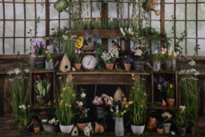 Flower Shack Flower Shack Background