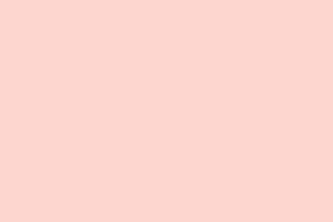 Smooth Blush Smooth Blush Background
